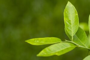 Un Regard Sur La Résilience Des Entreprises : Conseils Pour L’Avenir